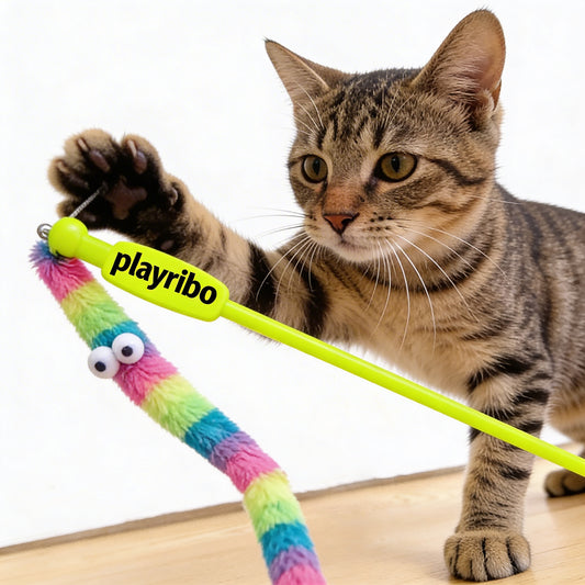 Playribo® Interactive Cat Toy – Tug-of-War with Feather Ambush | Energy-Burning Fun for Cats | Durable Rope Toy with Ribbon for Active Play