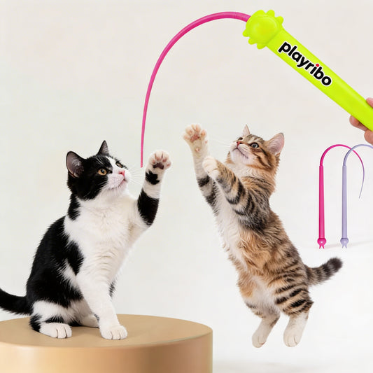Playribo® Interactive Energy-Burning Tug-of-War Cat Toy – Safe, Durable Design for Wrestling, Kicking, and Tugging | Fun, Stimulating Play for Active Cats | Ideal for Exercise & Mental Engagement
