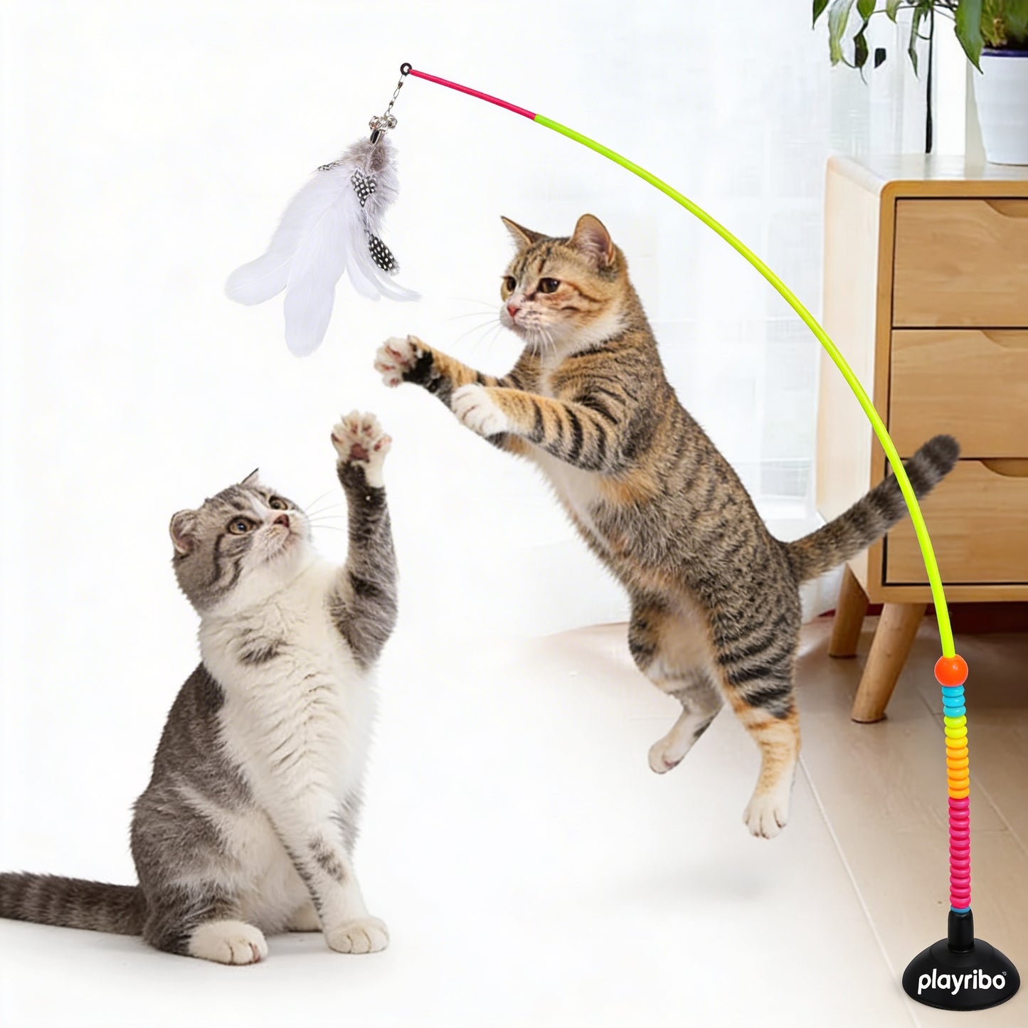 Playribo® Interactive Energy-Burning Cat Toy | Tug-of-War, Wrestling & Kicking Action | Safe, Durable Play for Active Cats | Perfect for Physical & Mental Stimulation