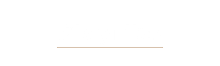 playribo logo footer
